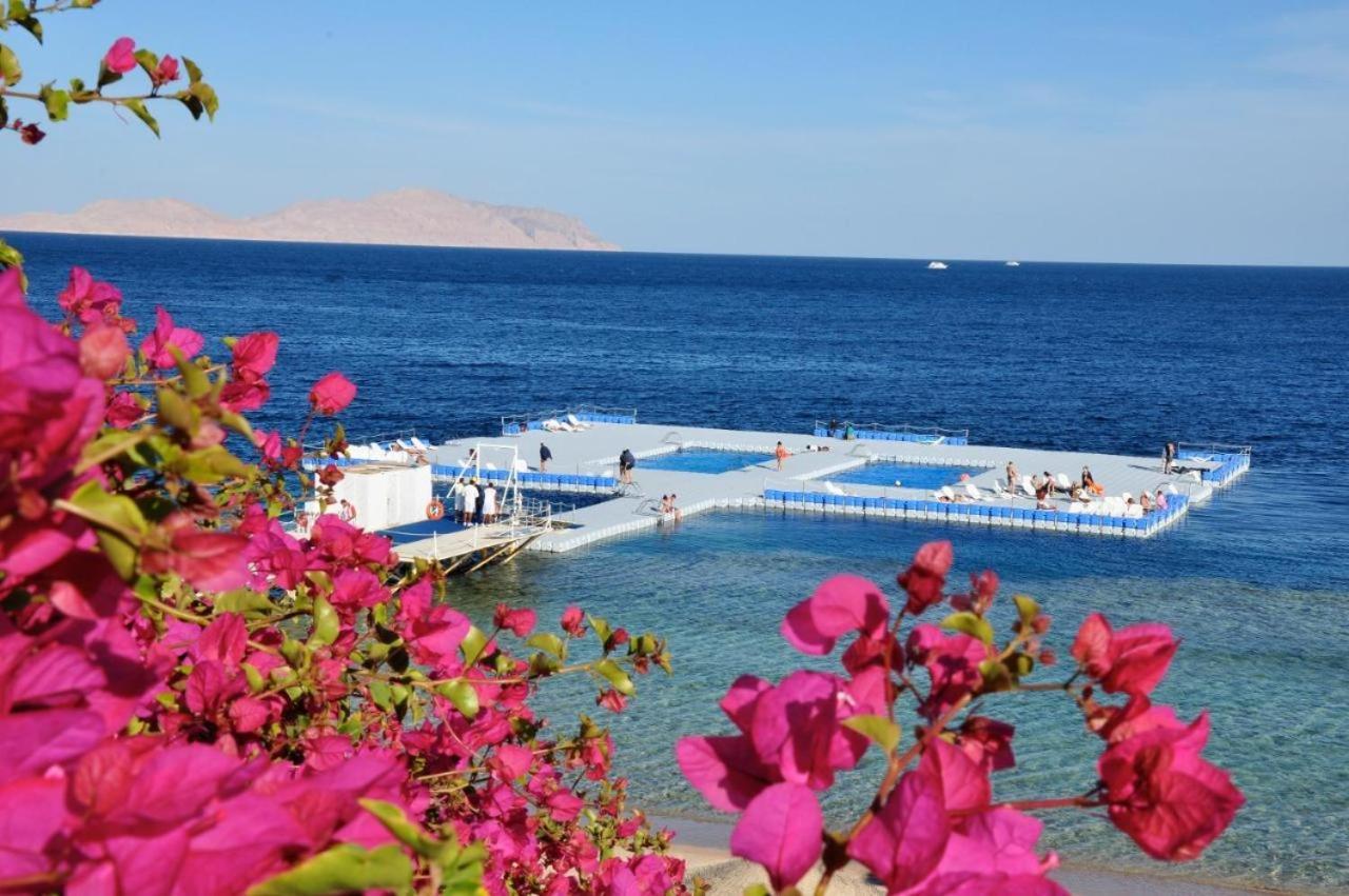 Grace House Domina Coral Bay Apartment Sharm el-Sheikh Exterior photo